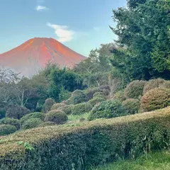 ホテルマウント富士
