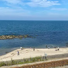 国定公園 雨晴海岸