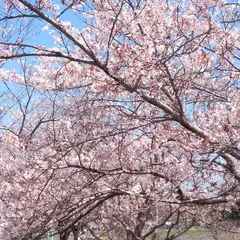 希望ヶ丘公園駐車場
