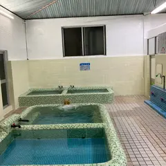 中村温泉