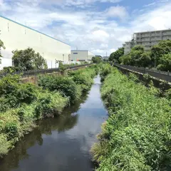 いたち川橋