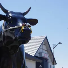 道の駅いいで