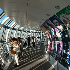 東京スカイツリー天望デッキ