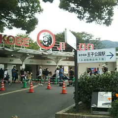 神戸市立王子動物園