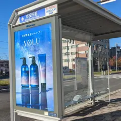 市役所前