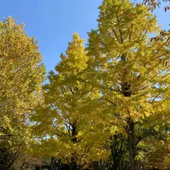 新井薬師公園