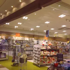 イルーシー３００ 上尾アリオ店