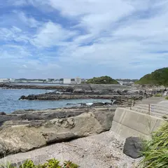 西崎の磯