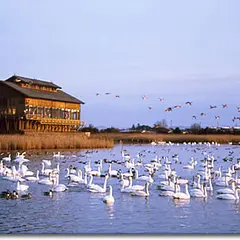 米子水鳥公園