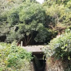 西野水道