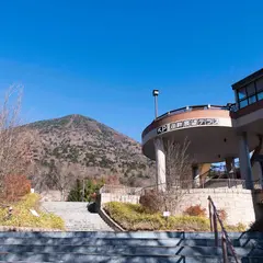 湖畔展望テラス