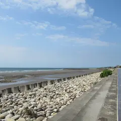 秋茂園海岸觀景區