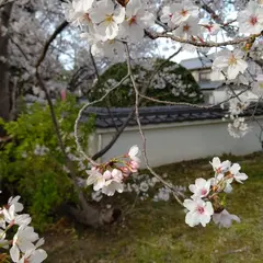 西念寺