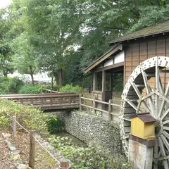向島用水親水路