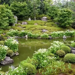 両足院庭園