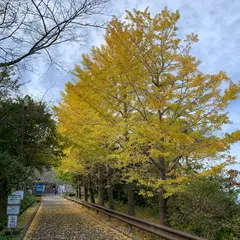城山公園
