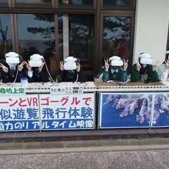 バーチャルスカイ