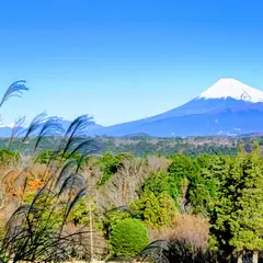 ラフォーレ修善寺＆カントリークラブ