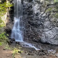 父の白滝