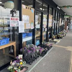 はす工房