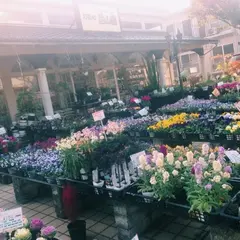 お花所 昌山園