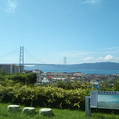 大歳山遺跡