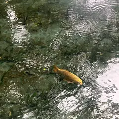 明神池名水公園