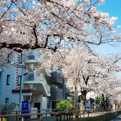 立会川緑道