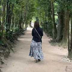 備瀬フク木並木通り