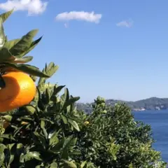 もんがわアグリパーク