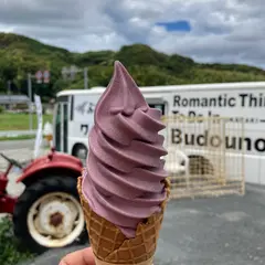 ぶどうの樹のワイナリー