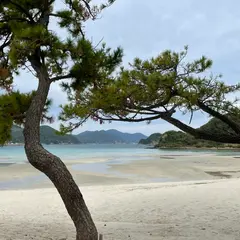 蛤浜海水浴場
