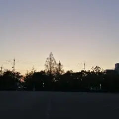 どんどんどんの森 ふれあい広場駐車場