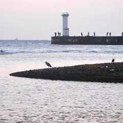 海にやって来ました