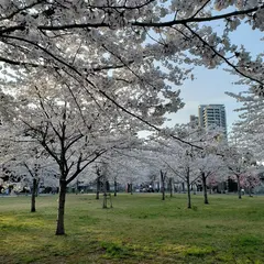 大町西公園