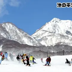 池の平温泉スキー場