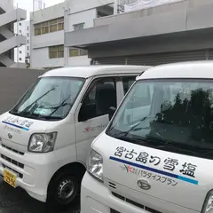 宮古島の雪塩