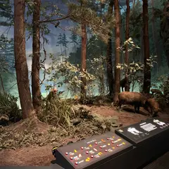 埼玉県立自然の博物館