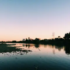 多摩川