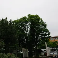 京都教育大学附属高等学校