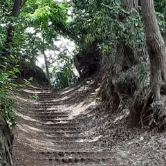 舞岡ふるさとの森