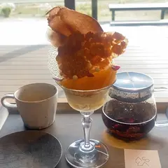acoya アコヤ