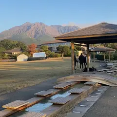 桜島溶岩なぎさ公園＆足湯