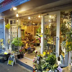 花屋 torori