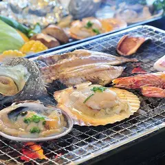 シーアイガ海月