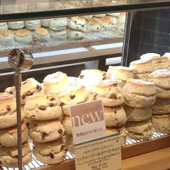 Rodda’s ロダス
