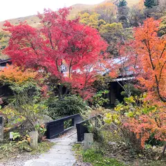 和の花