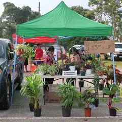 Dededo Flea market（デデドの朝市）
