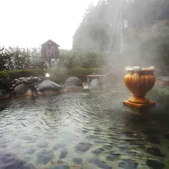 矢板温泉 まことの湯