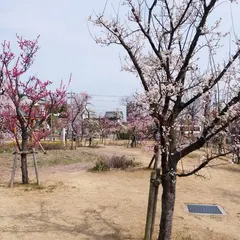 東公園